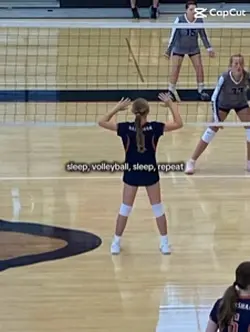 Volleybal